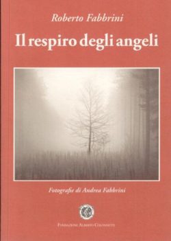 Il respiro degli angeli - Roberto Fabbrini